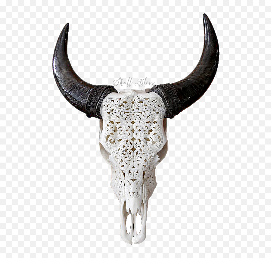 Transparent Bull Skull Png - Horned Bull Png,Bull Horns Png