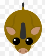 Warthog - Suidae Png,Warthog Png