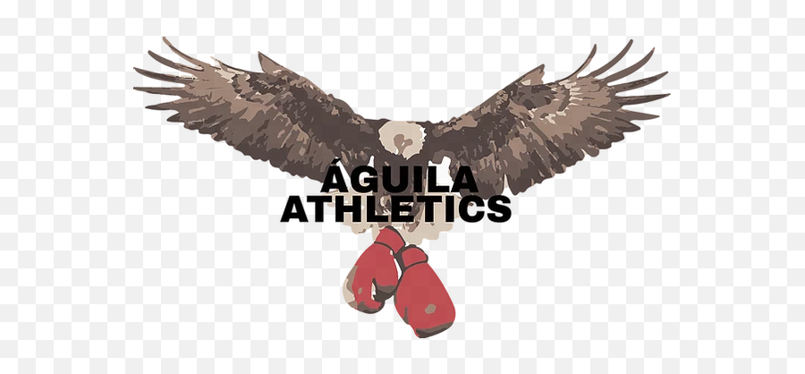 Boxing Aguila Athletics - Boxing Glove Png,Aguila Png