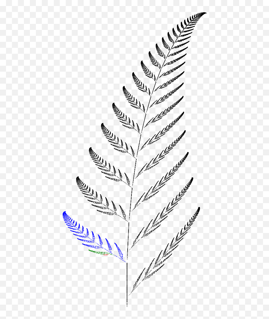 Filebarnsley Fern Funktion3png - Wikimedia Commons Portable Network Graphics,Fern Leaf Png