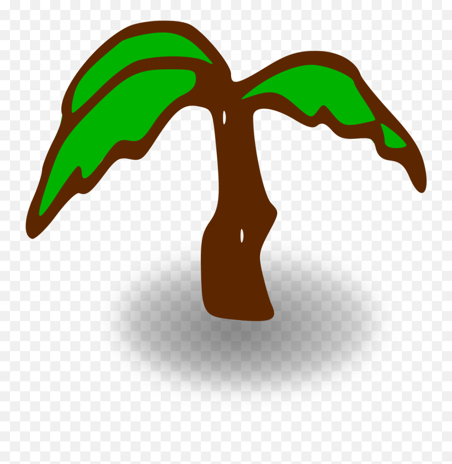 Palm Tree Green - Palm Tree Clip Art Png,Palm Tree Leaves Png