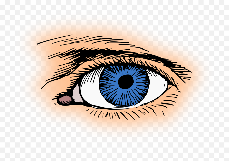 Blue Eye Clipart - Anatomy Eye Kartun Png,Blue Eye Png