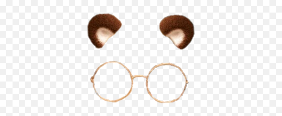 Library Of Snapchat Glasses Filter Png - Cute Bear Snapchat Filter,Snapchat Dog Filter Transparent