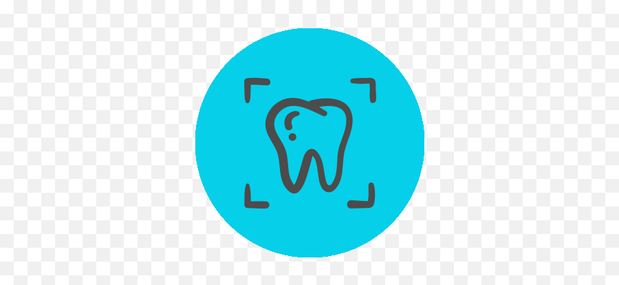 Animal Health - Midmark Animal Health Digital Dental X Ray Icon Png,Aniami Teeth Icon