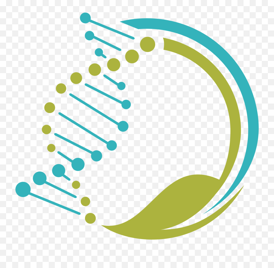 Hire A Genetic Genealogist For Dna Research Legacy Tree Png Colorful Icon