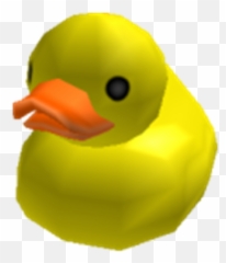 Logan Lerman - Roblox Duck Png,Logan Lerman Png