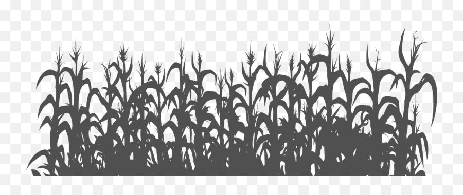 Cornfield - Vectortransparent2img10608 138091 Png Corn Field Vector Black And White,Field Png