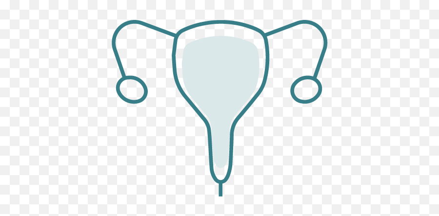 Our Areas Of Expertise U2013 Trad Hospital - Vertical Png,Uterus Icon