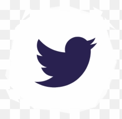 Project Winter - Twitter Logo png
