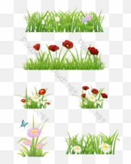 Small Flower Grass Plant Png Decorative Images Psd - Floral