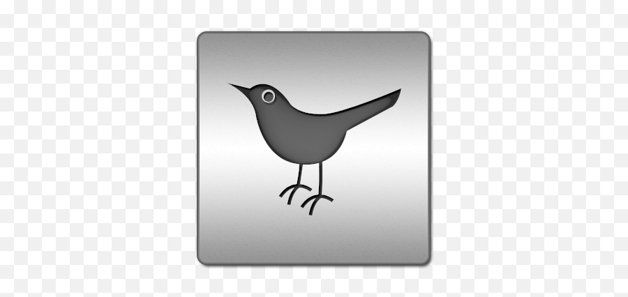 Social Network Bird Animal Twitter Sn Icon - Twitter Bird Icon Png,Twitter Icon White Png