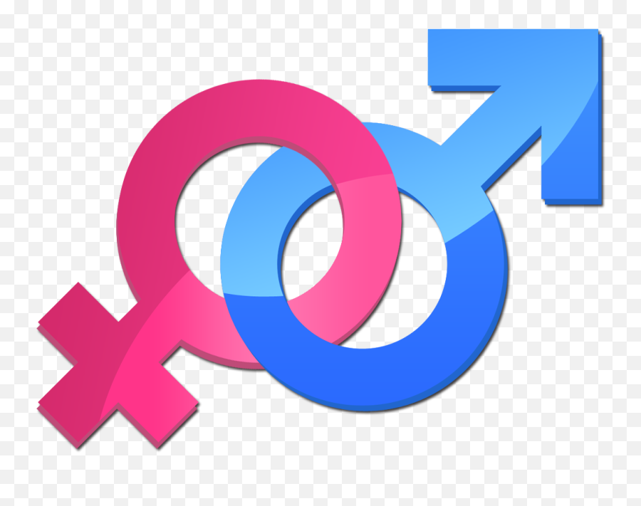 Gender Symbol Male Icon Free Hd Image - Male Sign Png,Gender Png