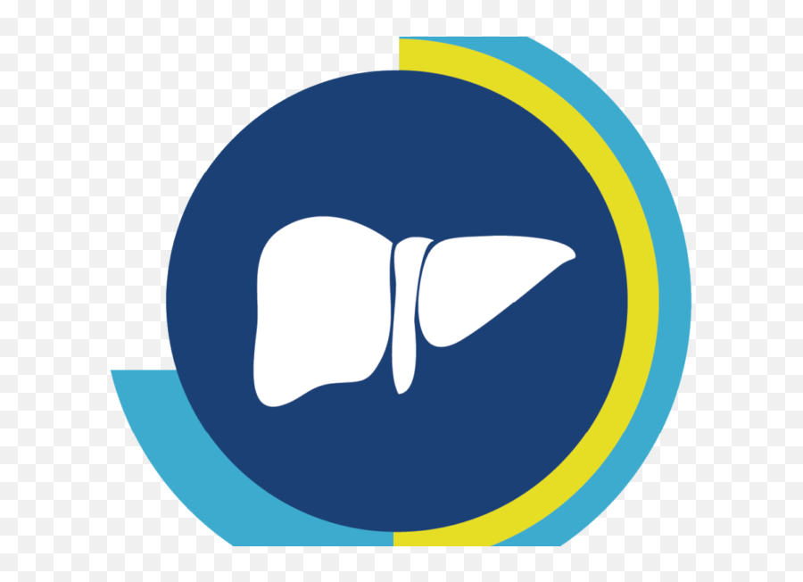 Liver Transparent Png Clipart Free - Nash Liver Disease Symbol,Liver Png