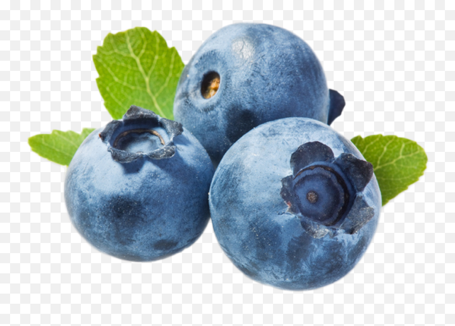 Blueberries V Png