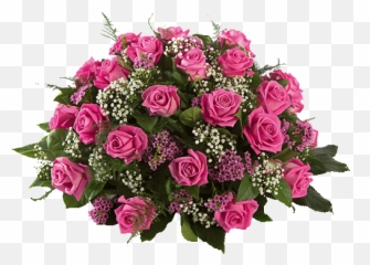 Round - Pink Roses Rose Png,Baby's Breath Png