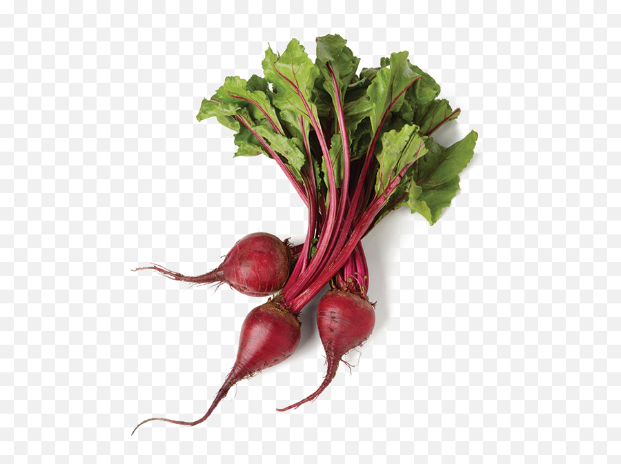 Beet Png Image Transparent Background - Beets Transparent Background,Beet Png