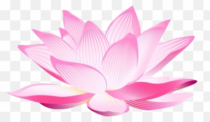 Lotus Flower Png Clipart All - Transparent Background