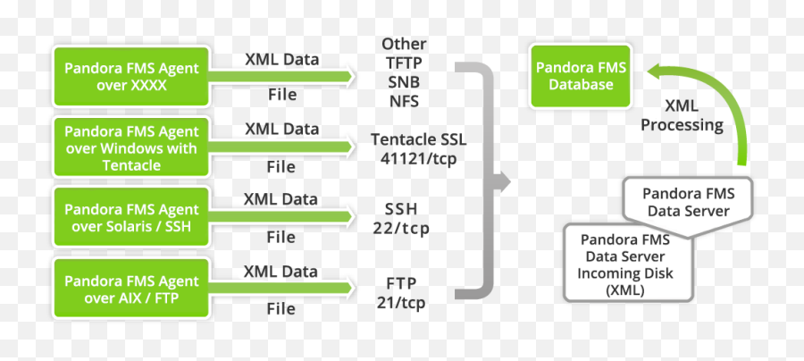 Filerecoledatospandorapng - Pandora Fms Wiki Pandorafms Architecture,Tentacle Png