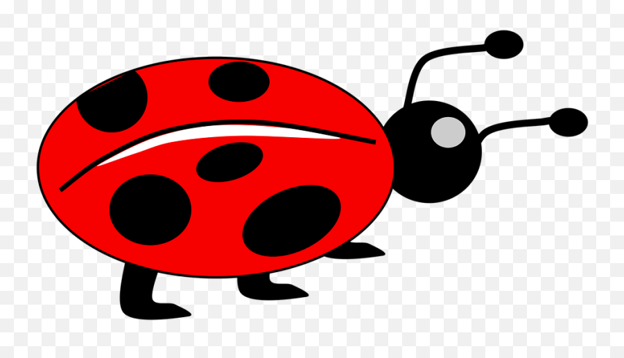 Download Red Ladybug Png Free - Free Transparent Lady Bug For Kids,Ladybug Png