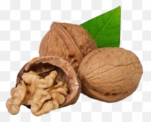 Walnut Oil Png Transparent Images - Walnut,Walnut Png
