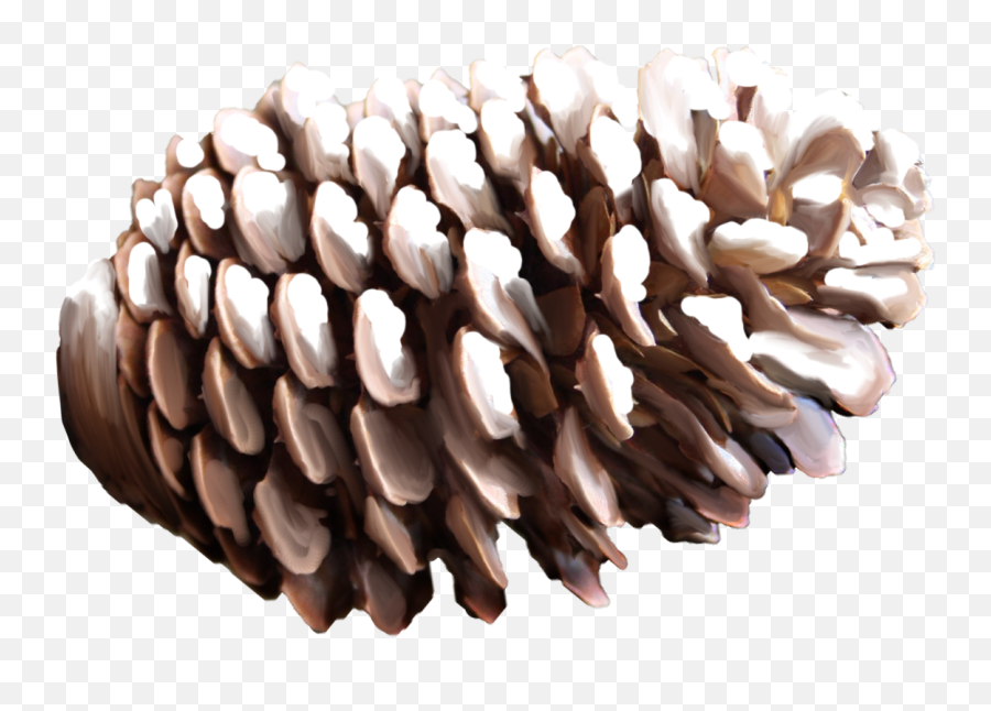 Hd Pine Cone Png