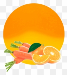 Mix Orange Veggies Fruit Compound - Clementine Png,Veggies Png