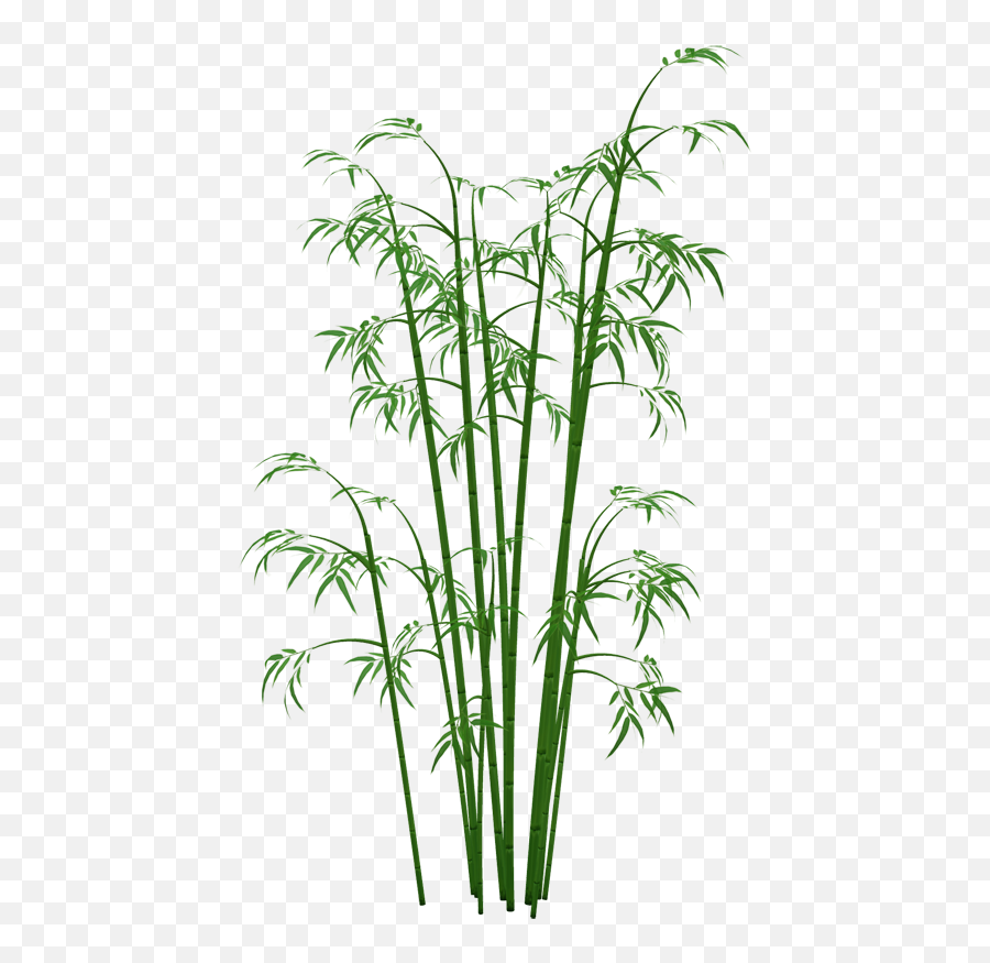 Download Bamboo Png Image - Bamboo Tree Transparent Background,Bamboo Png