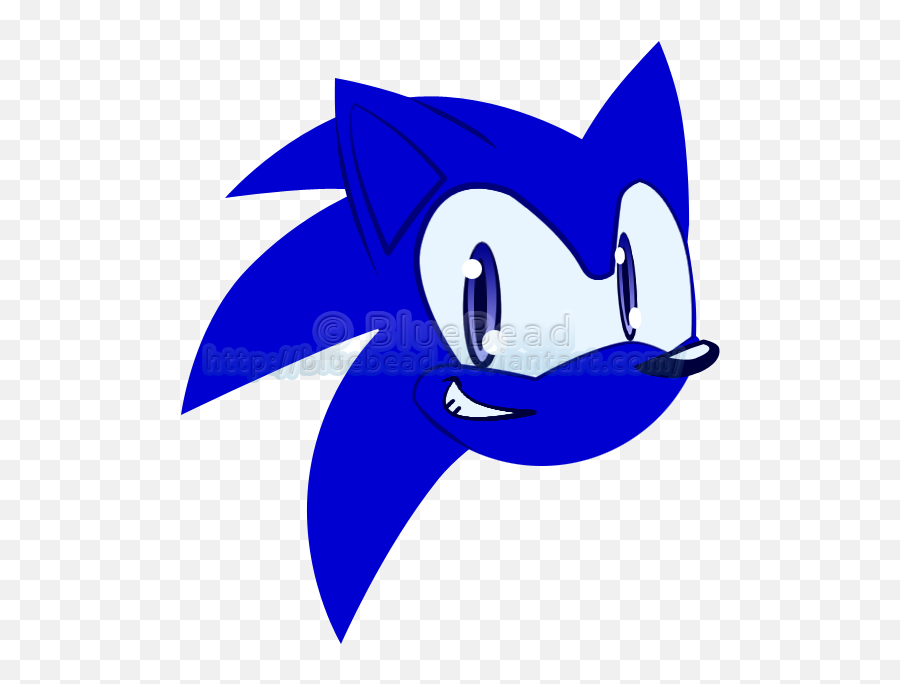 Download Sonic The Hedgehog Head Icon - Sonic The Hedgehog Kafas Png,Sonic Head Png