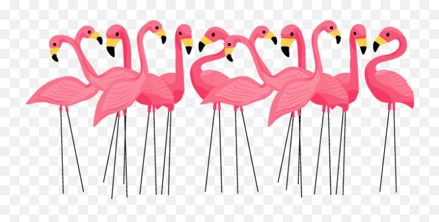 Flamingo Clipart Png - Pink Flamingo Clipart Free,Flamingo Clipart Png