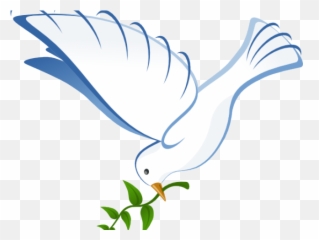 White Dove Clipart In Flight - Coming Down Png
