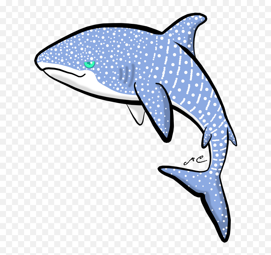 Download Whale Shark By Mischievouspooka - Whale Shark Chibi Whale Shark Clip Art Png,Whale Shark Png