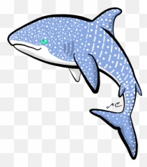Download Whale Shark By Mischievouspooka - Whale Shark Chibi Whale Shark Clip Art Png,Whale Shark Png