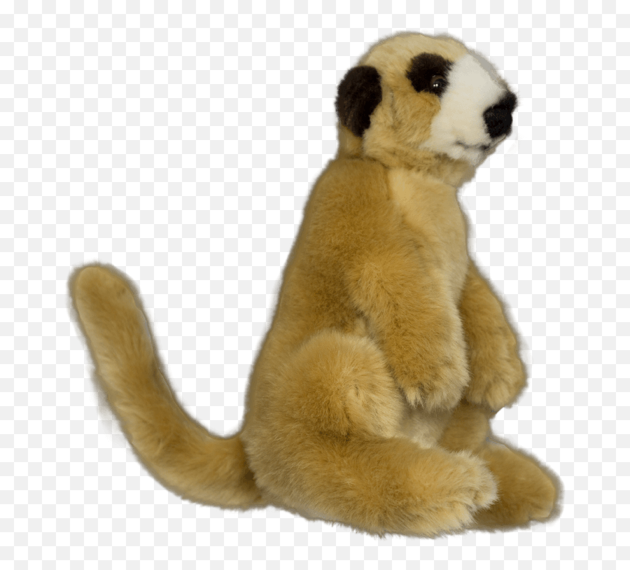 Adopt A Meerkat Today With Durrell - Gift Adoption From 32 Meerkat Png,Meerkat Png