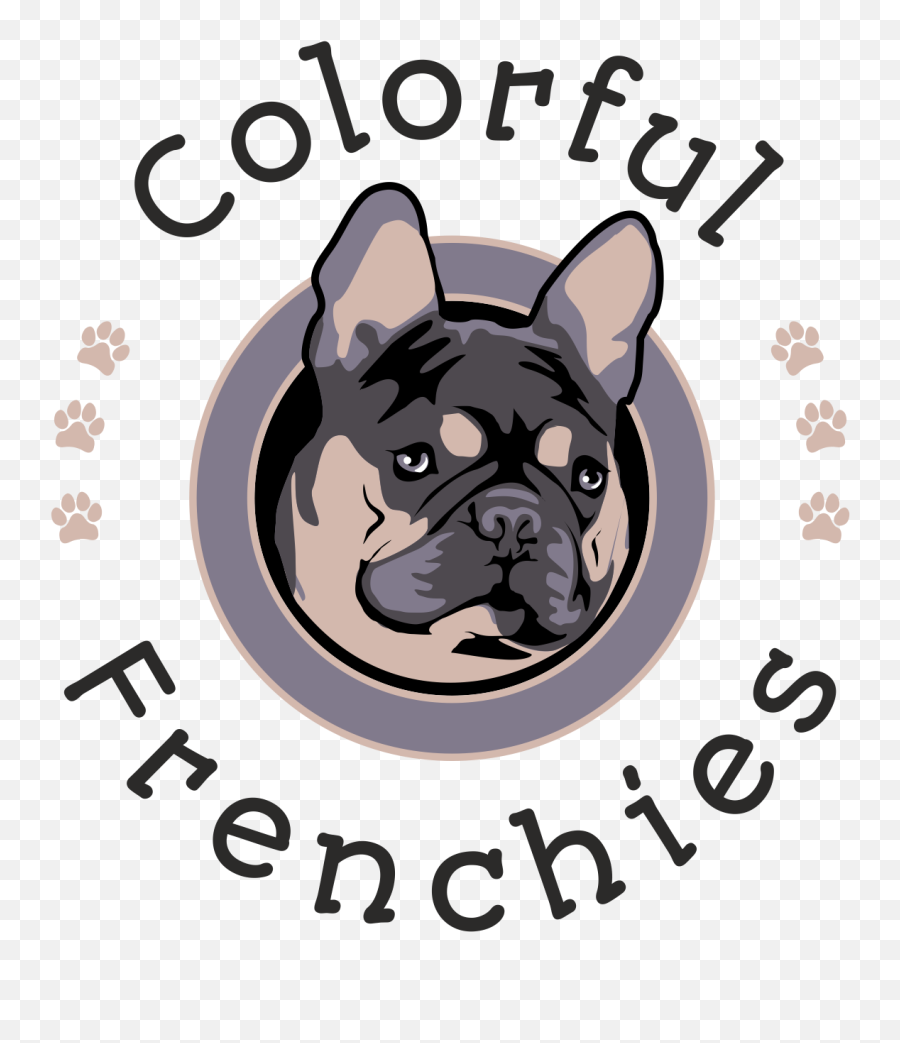 Downloads - Colorful Frenchies French Bulldog Png,French Bulldog Png