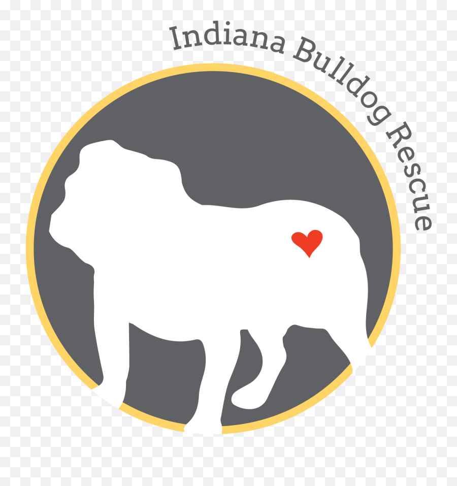 Indiana Bulldog Rescue Foster Adopt Sponsor Donate - Bulldog Png,American Bully Logo