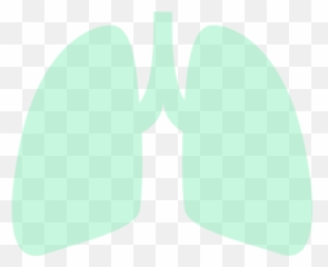 Triagetb - About Language png