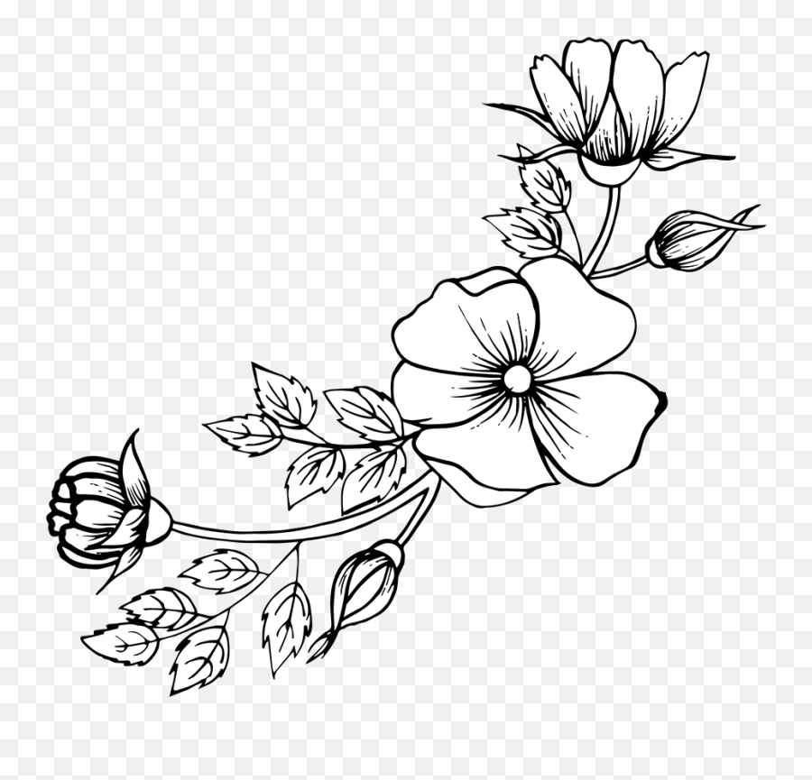 Free Png Hand Drawn Floral Bouquets Drawing