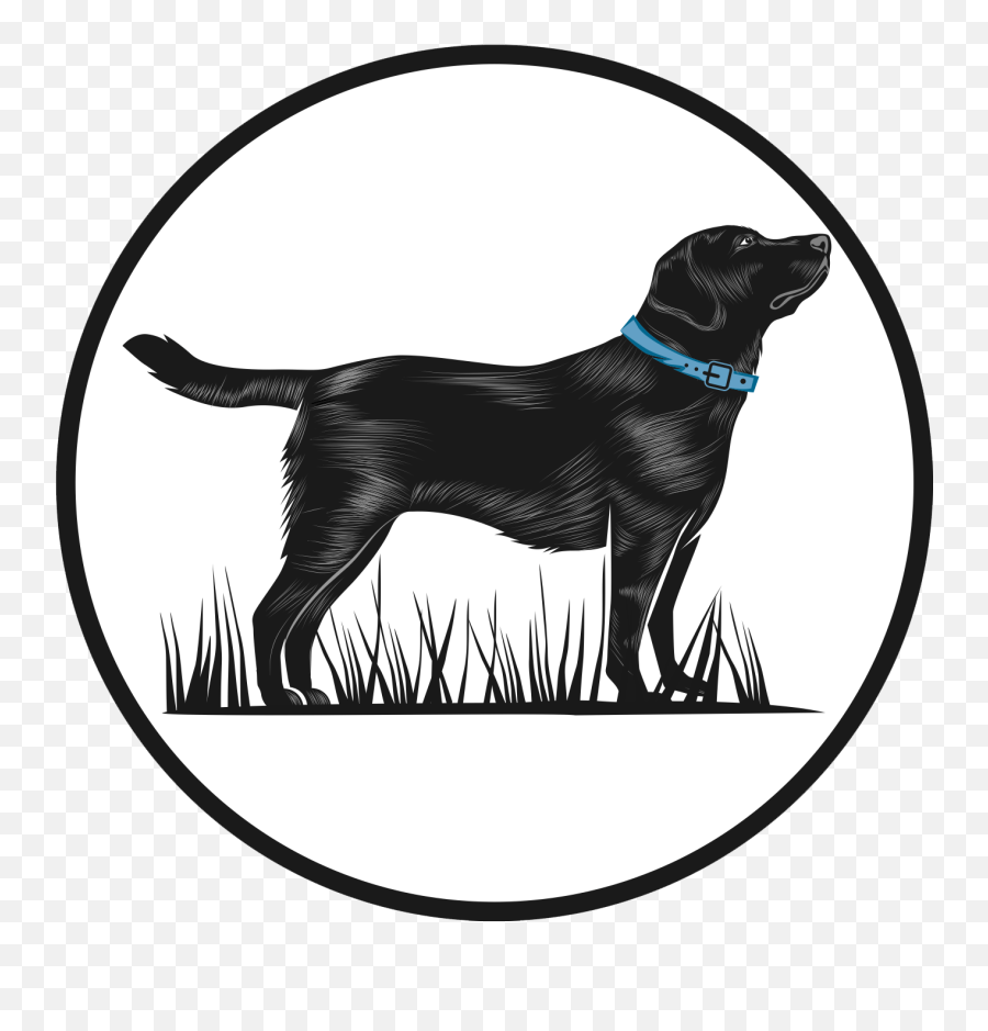 Course Registration - Gungho Dog Training Ancient Dog Breeds Png,Flat Training Icon