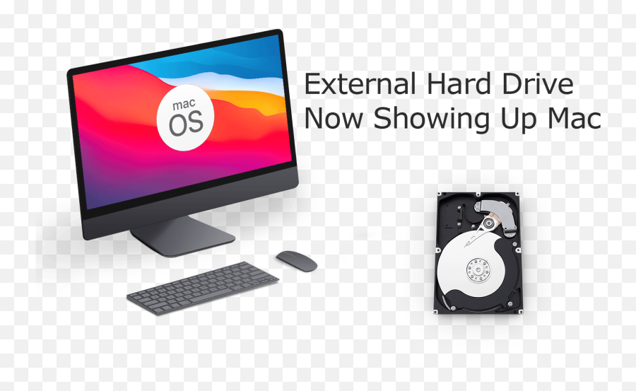 Macos Big Sur How To Fix External Hard Drive Not Showing Up - Office Equipment Png,Usb Icon On Mac