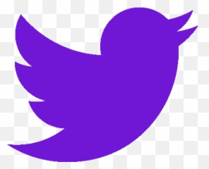 Festival - Orange Twitter Logo Png