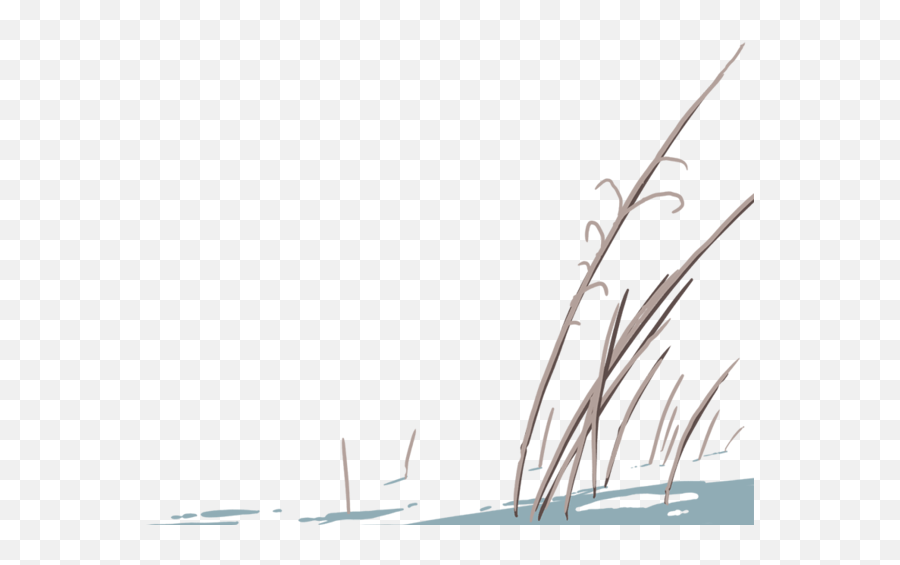 Illustration Of Tall Dead Grass - Grass Png,Dead Grass Png
