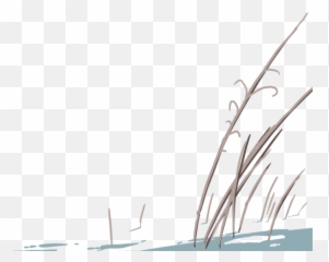 Illustration Of Tall Dead Grass - png