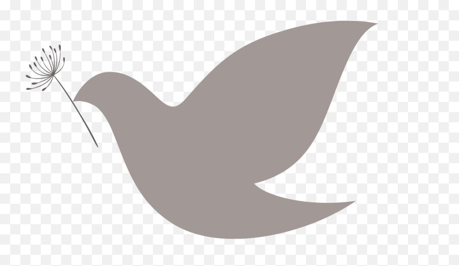 Services Png White Dove Icon