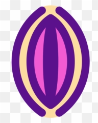 Vagina - Free healthcare and medical icons Language png