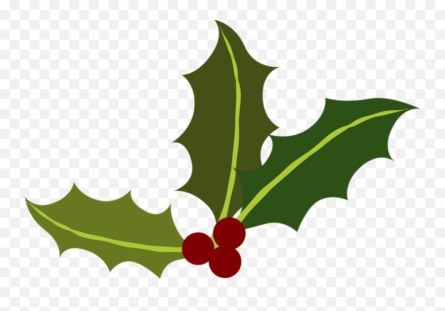 Holly Png Christmas Border - Holly Leaves And Berries,Christmas Holly Png