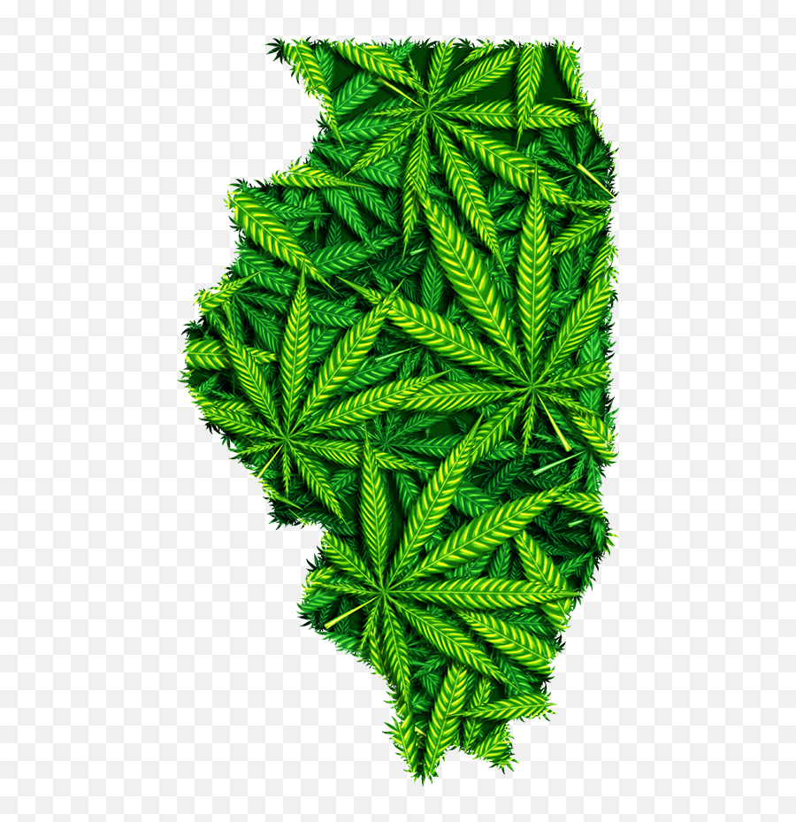 Marijuana And Real Estate - Illinois Realtors Illustration Png,Weed Transparent Background