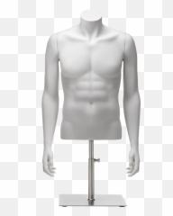 Male Torso Elements Bernstein Display Png