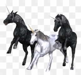 Unicorn Trio Transparent Png - StickPNG Transparent Background