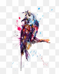 Download Owl Tattoo Watercolor Painting - Splatter Art png