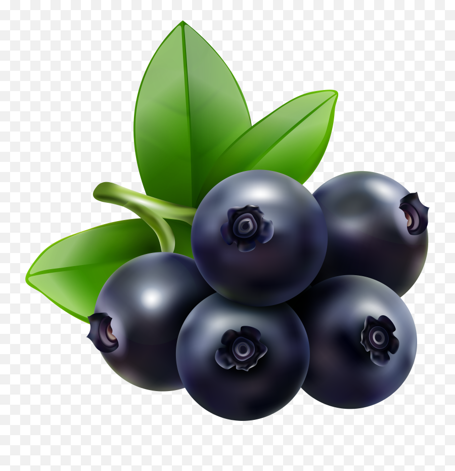 Fruits Blueberry Transparent Png - Clipart Blueberries,Blueberries Png